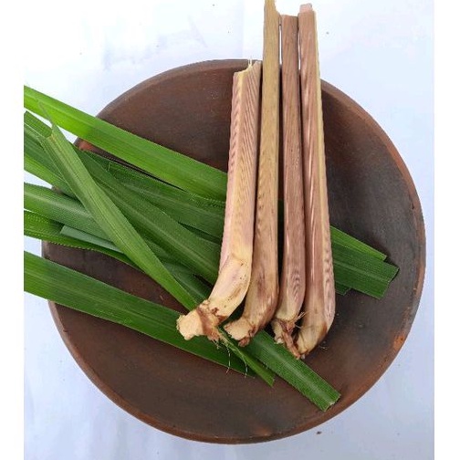 Sereh Wangi (Sereh Minyak) Segar