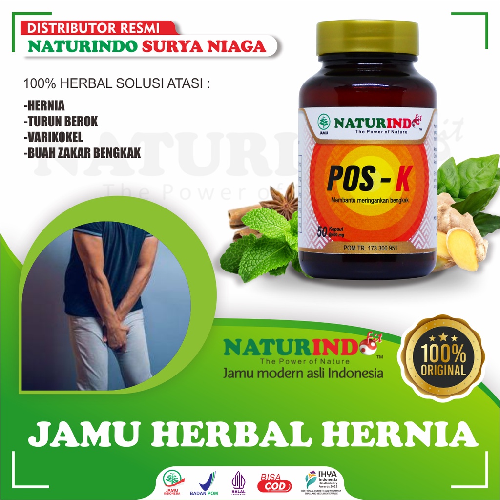 Obat Hernia Paling Ampuh Herbal Hernia Obat Turun Berok Dewasa Original Anak Paling Ampuh Anak NATUR