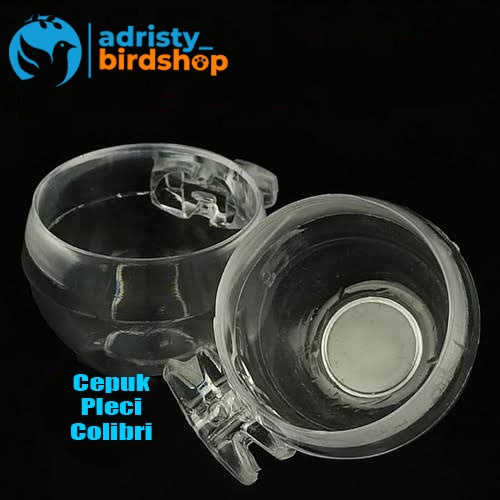 CEPUK PLECI BULAT KECIL