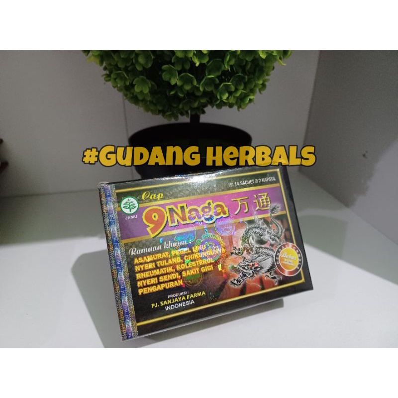Kapsul 9 Naga Original