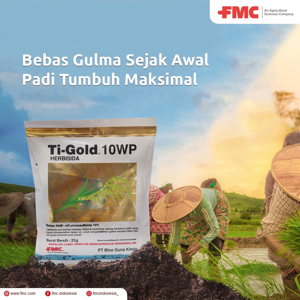 Herbisida Sistemik Tanaman Padi TI GOLD XL 10 WP  25 GR