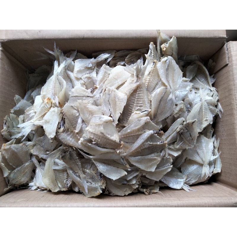 

Belahan ikan kapasan /ikan tipis grade A terbaik Termurah Best seller