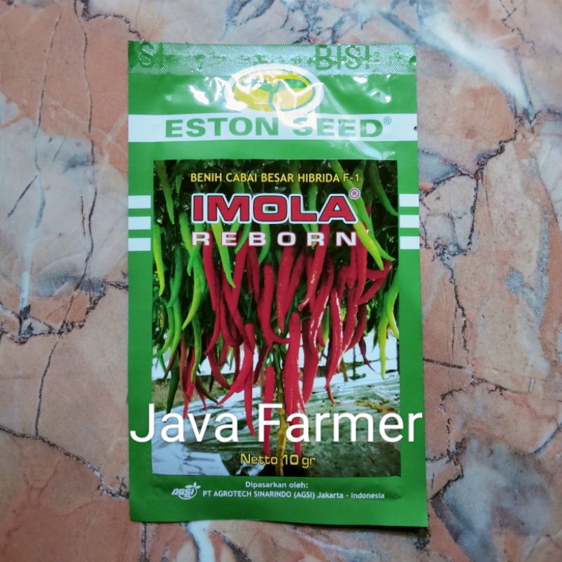 Benih Cabai Besar Hibrida F1 Imola Reborn 10 gram