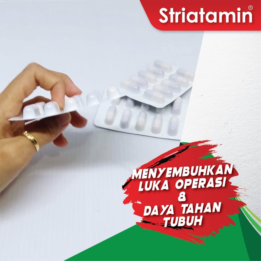 Striatamin Suplemen Imun Penyembuh Luka Operasi Tinggi Protein Albumin