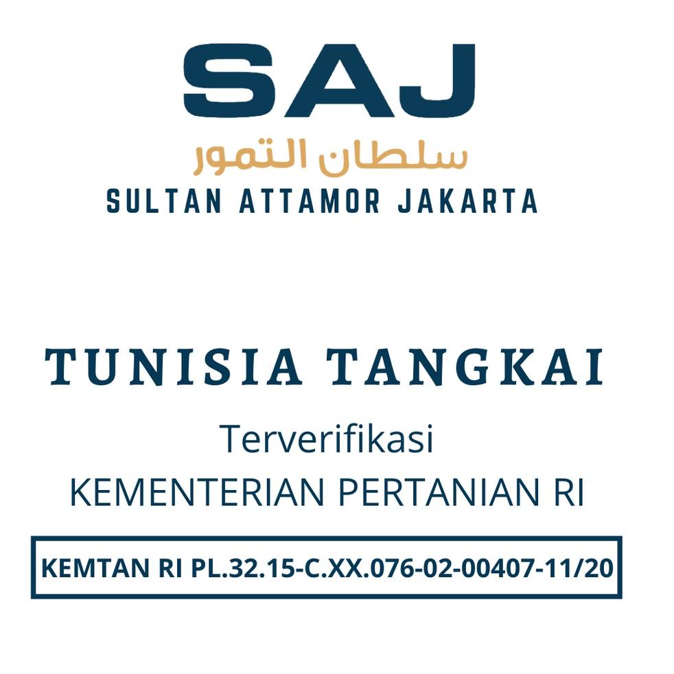 

PENJUALAN TERBANYAK Kurma Tunisia Palm Dates Tangkai 1 Kg @ 884