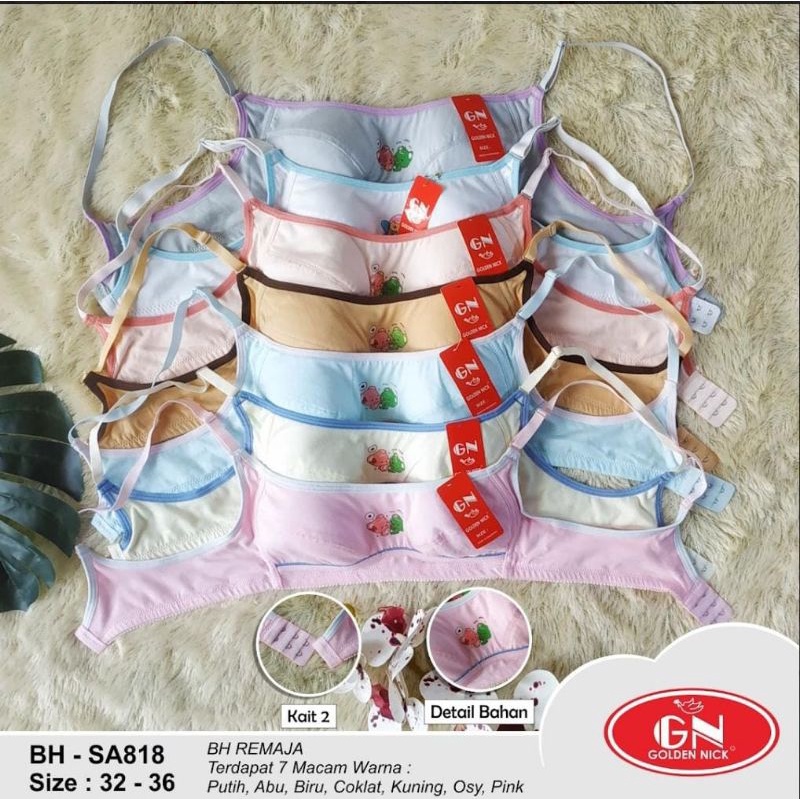 Golden Nick - Bh Remaja Bh Anak Sekolah Bh Pelajar BH PUTIH Bh Katun Kait 2 BH SA 803 SA 818