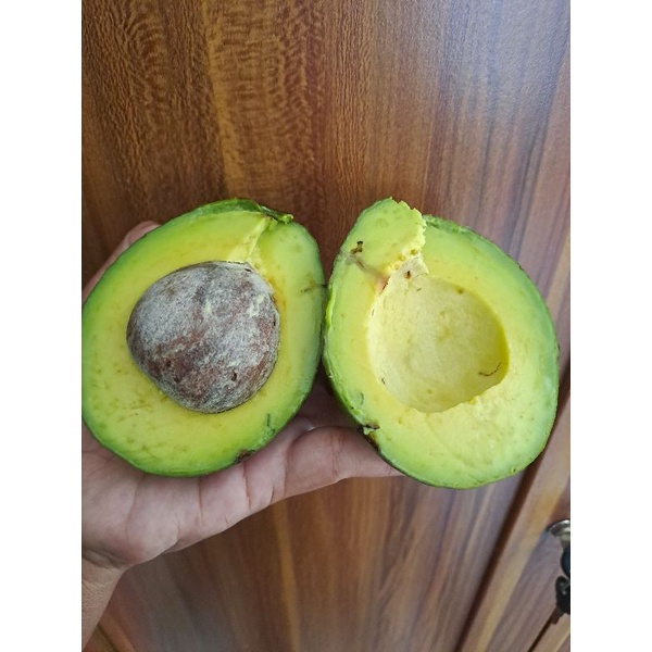 

Buah Alpukat fresh