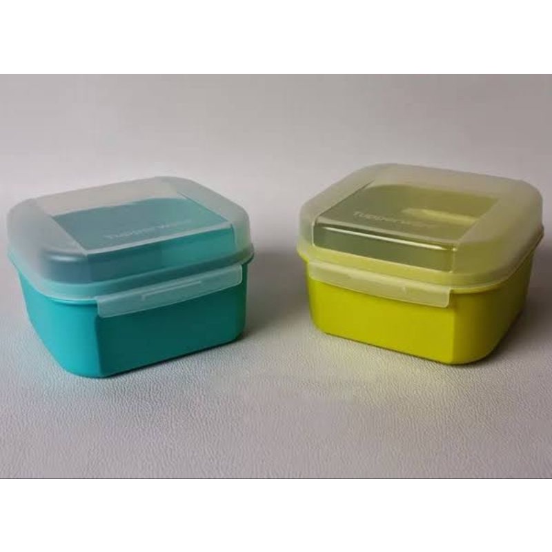 Mini rectangular (1) petite signature (1)