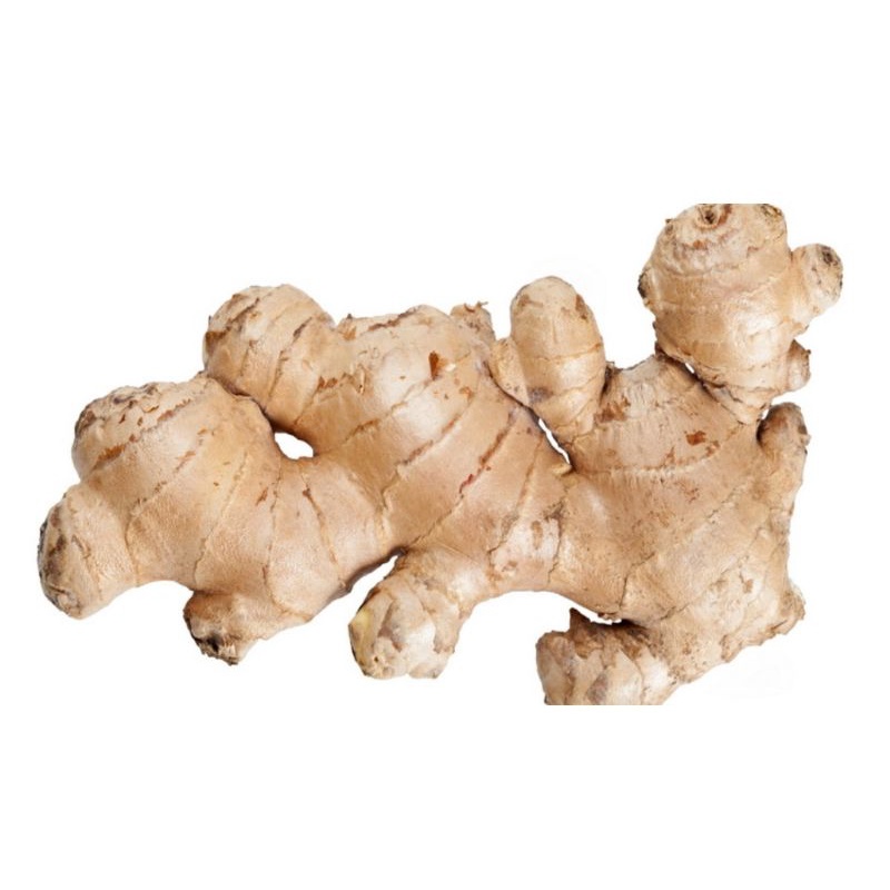 

JAHE PUTIH REGULER/SEDANG 1KG