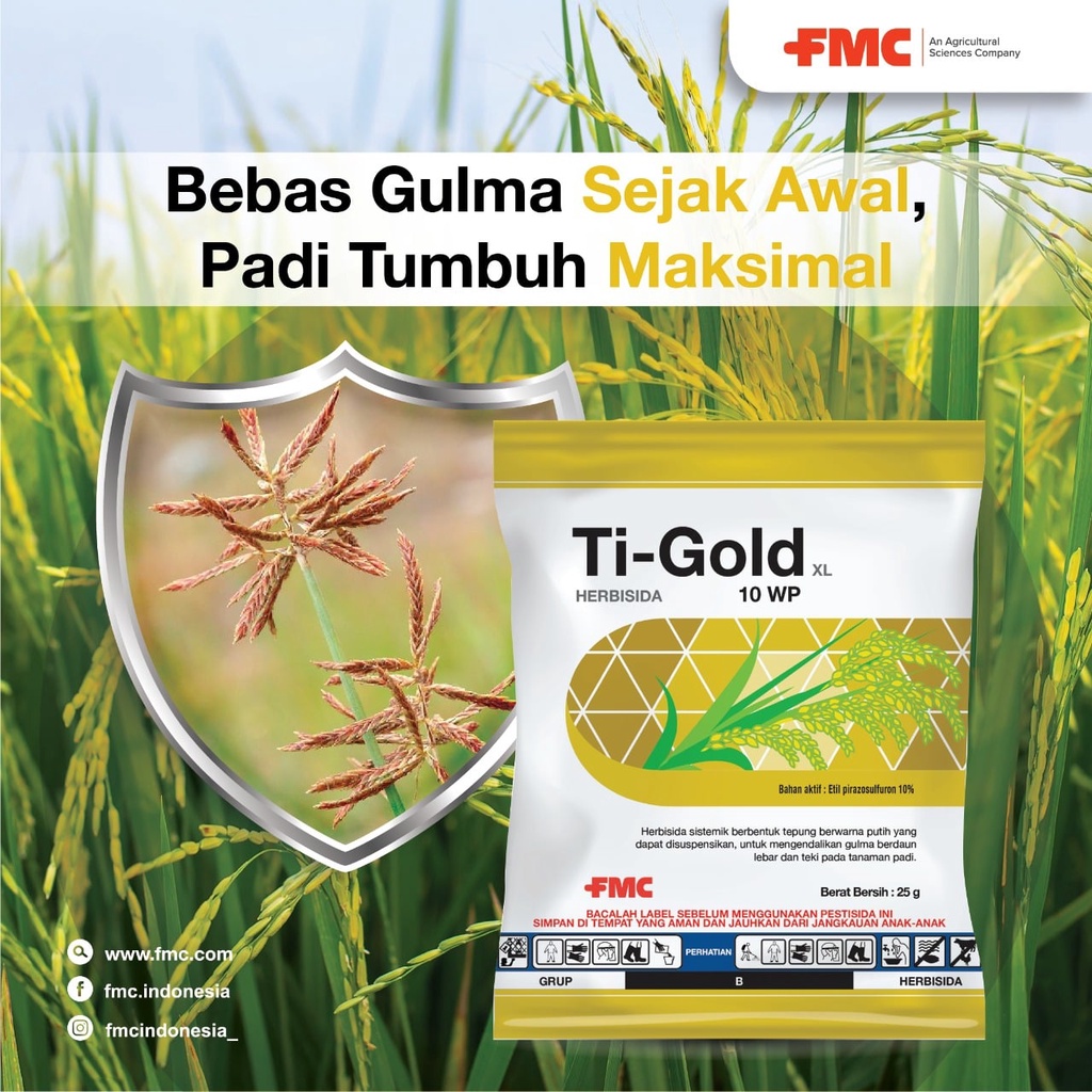 Herbisida Sistemik Tanaman Padi TI GOLD XL 10 WP  25 GR