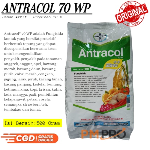 Fungisida Antracol 70 Wp 500 Gram Obat Semprot Pembasmi ( Untuk Mengendalikan ) Hama Jamur Penyakit 