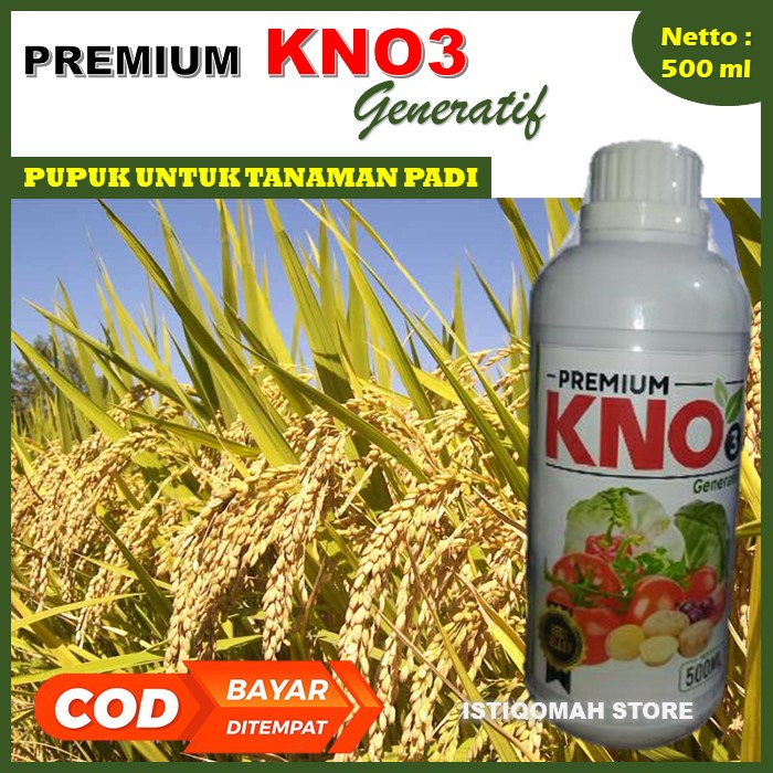 Obat Pembobot Buah Padi Premium KNO3 500ML Pupuk Penambah Bobot Padi - Obat Semprot Penambah Bobot P
