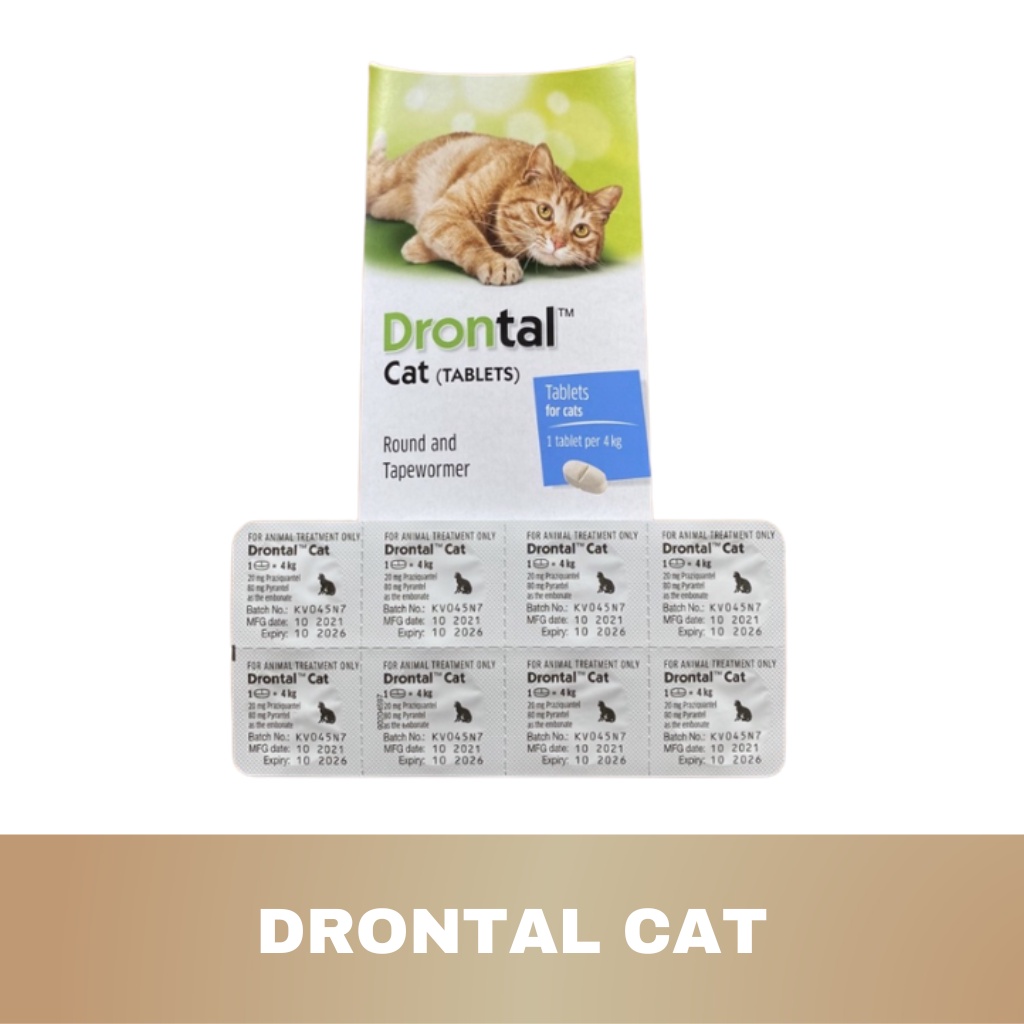 DRONTAL CAT 1 TABLET OBAT CACING KUCING DRONTAL ASLI MURAH