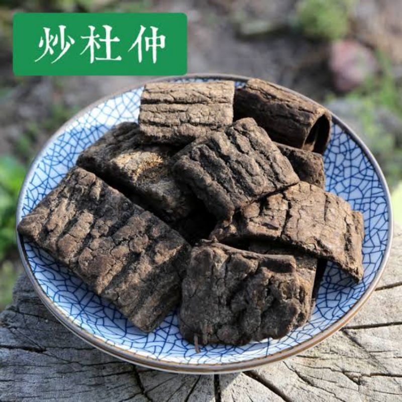

600 G GR GRAM 炒杜仲 CHAO DU ZHONG FRIED EUCOMMIA BARK