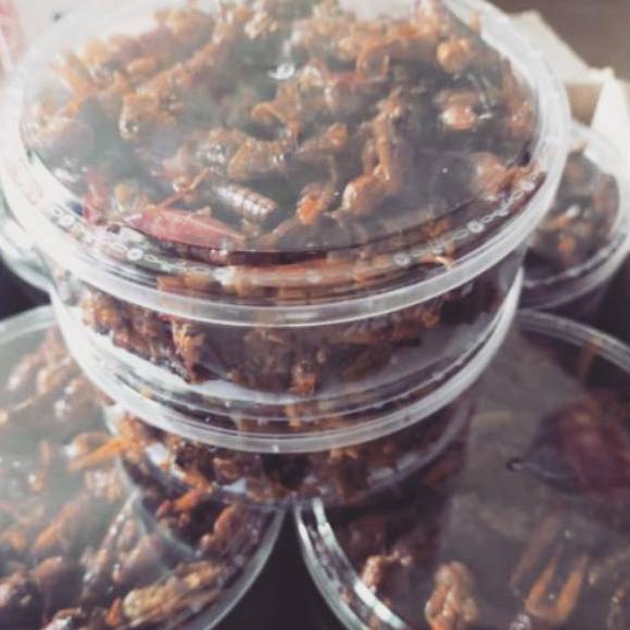 

[250] Belalang Goreng Enak / Walang Goreng Kemasan Toples 100 Gram Best Quality