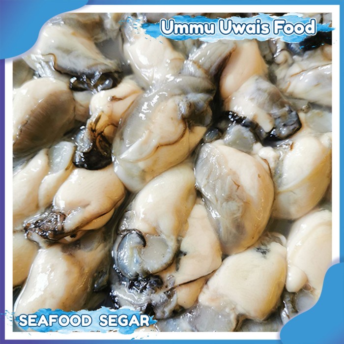 

Daging Kerang Tiram / Kupas / Segar 1KG