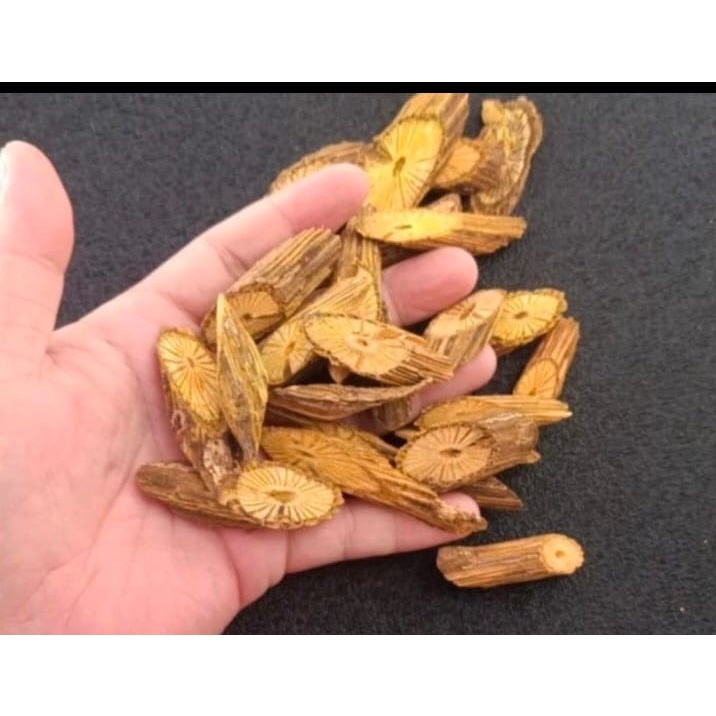 Akar Bajakah Asli Kalimantan 1 kg