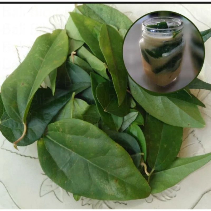 

Daun cingcau rambat - daluman segar 500gr