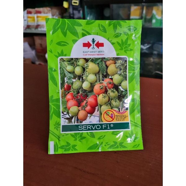 BENIH TOMAT SERVO