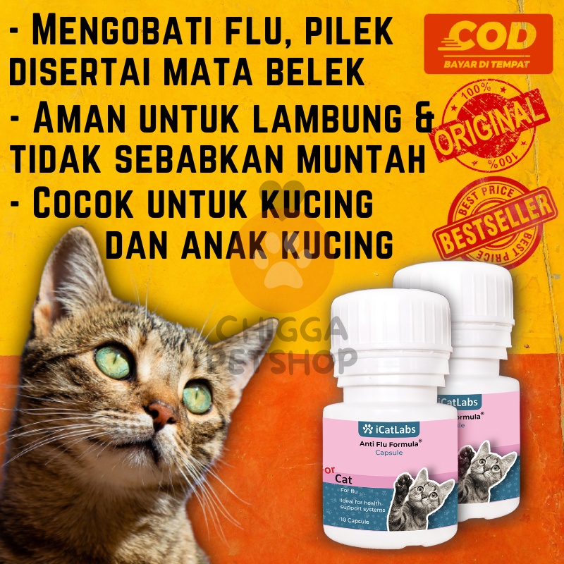 iCat Labs Anti Flu Formula - Obat / Vitamin / Vit Kucing Anak Kitten Hewan Peliharaan Flucat Obat An