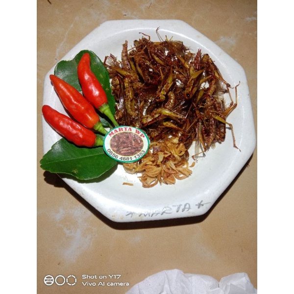 

Belalang goreng kecil / Walang goreng utes kemasan 50 gram