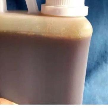 

COD✔️Madu murni MADU HUTAN SIALANG JAMBI 500 grm madu asli madu murah | madu jakarta madu annisa|SQ6