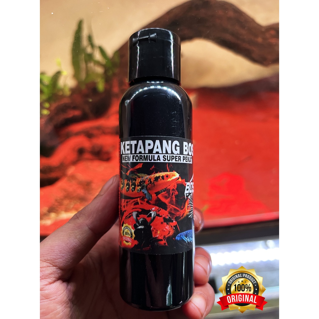 EKSTRAK KETAPANG BOS 100 ml ( KETAPANG LAUT LUMER BLACK WATER PROGRESS CHANNA)