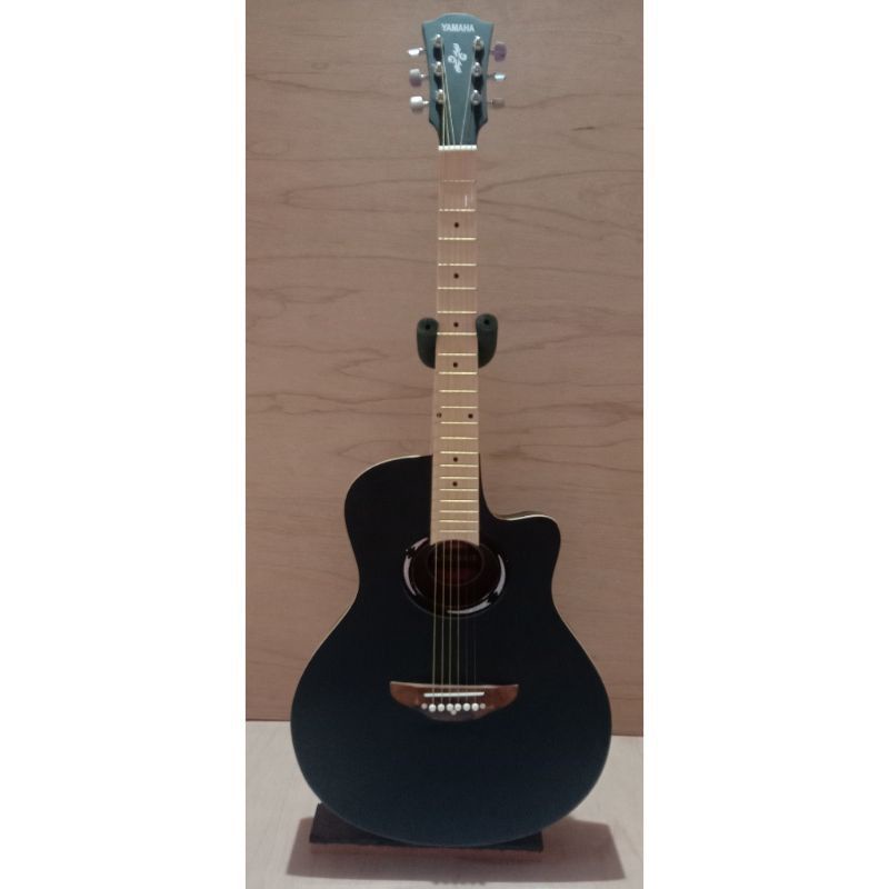Gitar Akustik APX 500