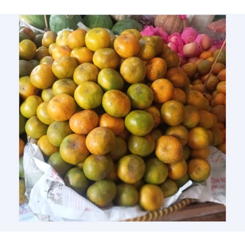 

garansi,,!! buah jeruk medan ( 500g )