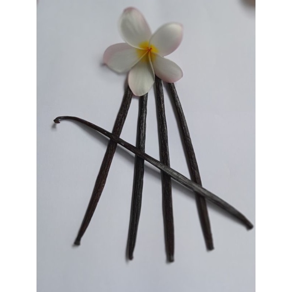 

Vanilla Bean, Vanilla Gourmet, Biji Vanili, Buah Vanili, Vanilla Pods , Vanilla Grade A, Vanilla Buat Campuran Kue , Vanilla Campuran Es Cream.