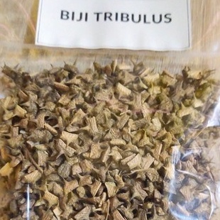 

TERBAIK BIJI TRIBULUS KERING RUJAK PALA- 1KG