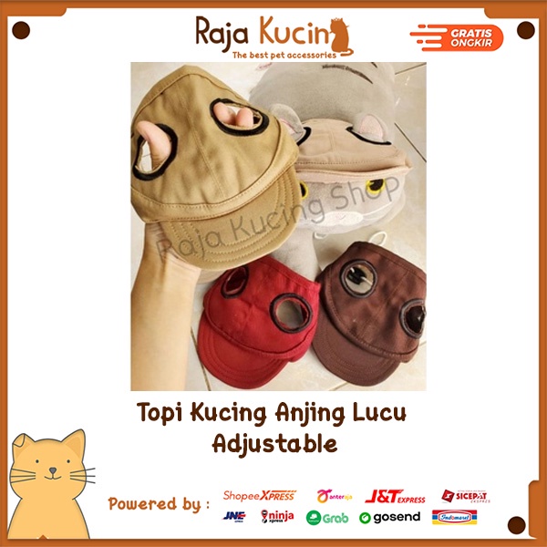 Topi kucing anjing lucu adjustable