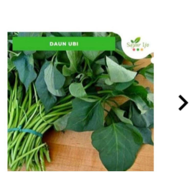 

Daun Ubi kuning segar sayuran organik 250 gr