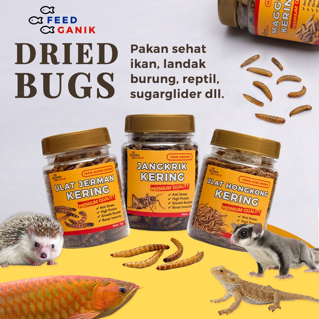 Paket 3 Botol Ulat Jerman + Ulat Hongkong +Jangkrik Kering | Pakan Ikan, Burung, Sugar Glider, Landa