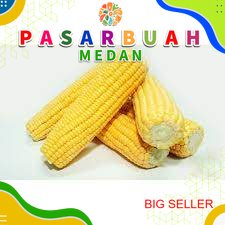 

Jagung Manis 500gr Segar Medan | PASAR BUAH MEDAN | PASAR BUAH MEDAN