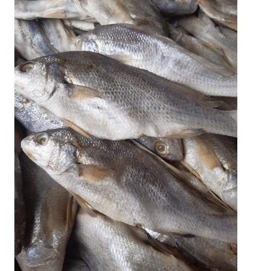 

(O(38☛) Ikan Asin Sileman 500 gr banyak diminati