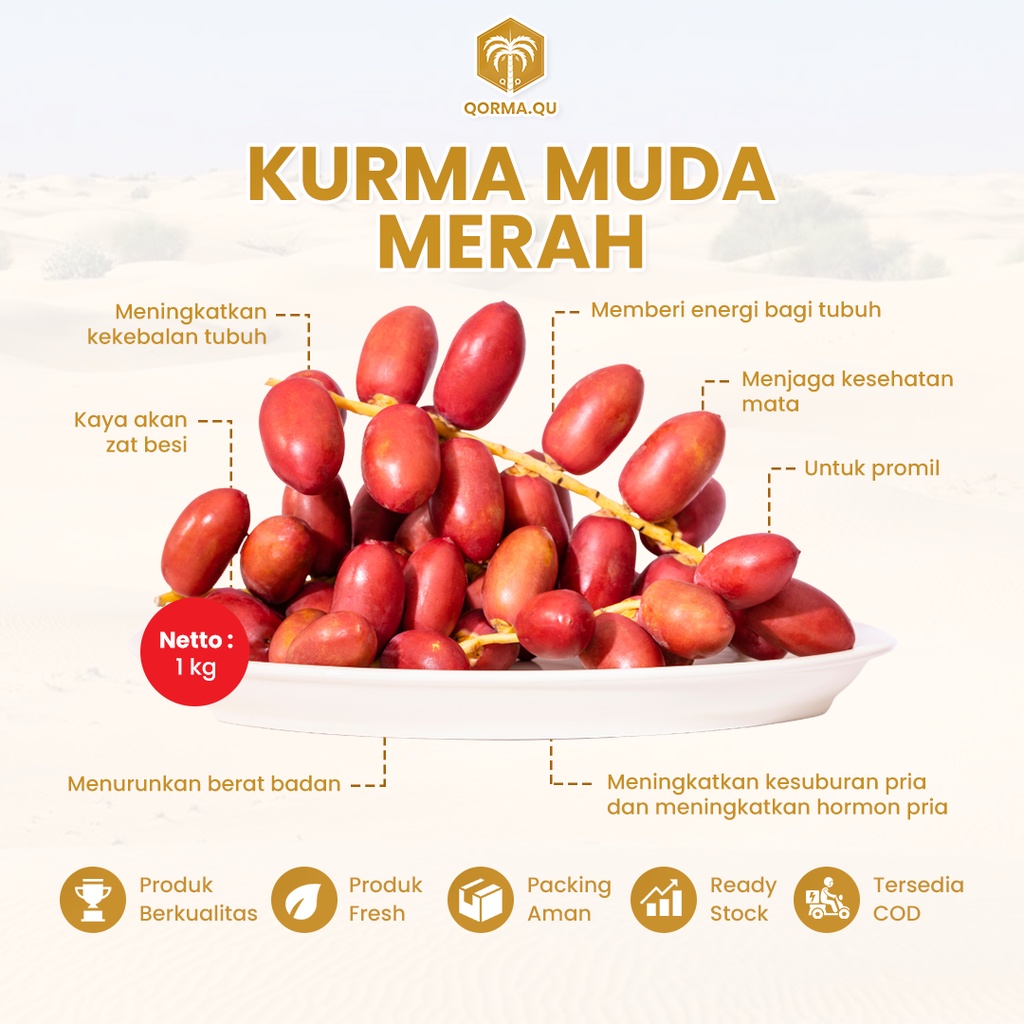 

PO TGL 8 SIAP KIRIM DI JAMIN FRESH kurma merahKurmamudamerah|kurmamuda|