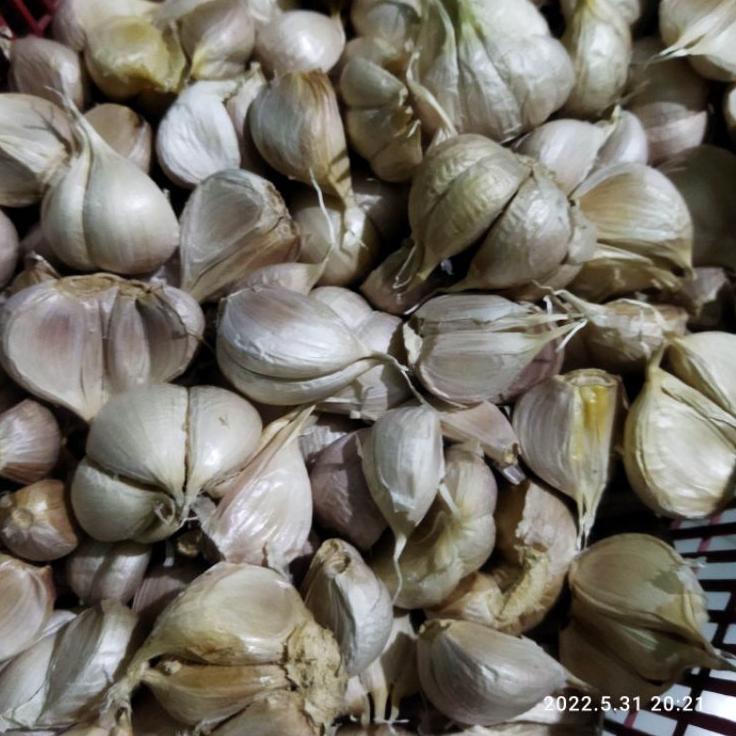 

Harga Murah Ⓜ Bawang Putih Kating 500gram~
