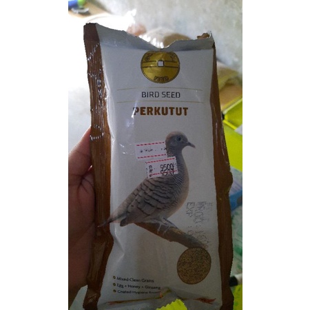 GOLD COIN PERKUTUT 250gram