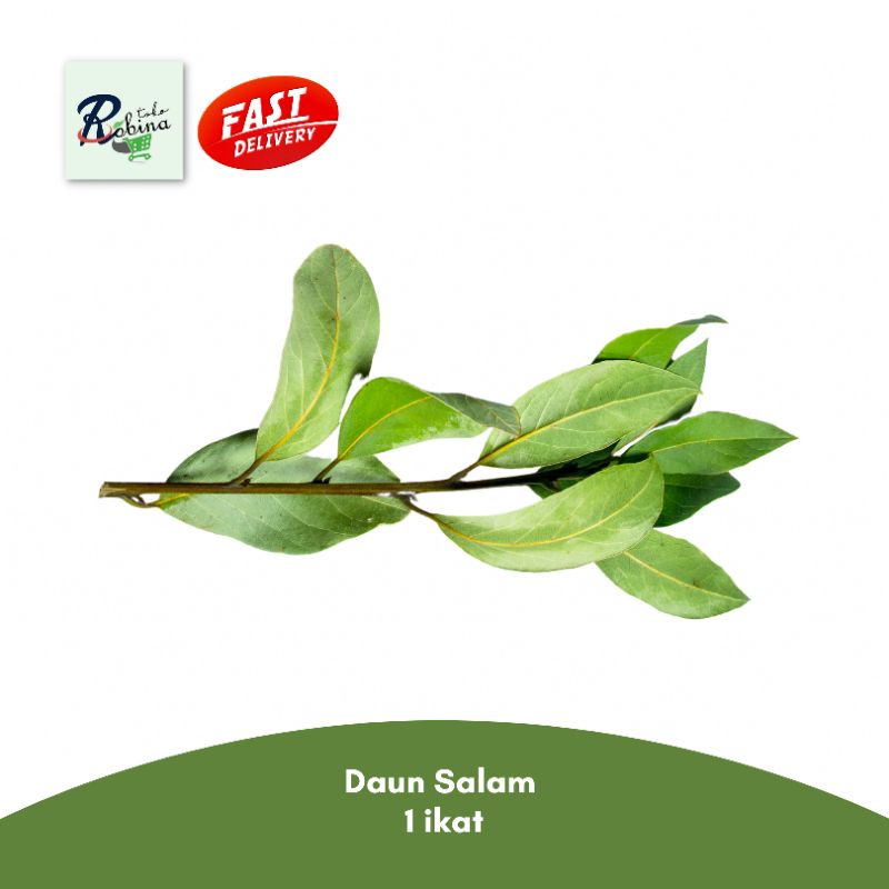 

Daun Salam 1 ikat