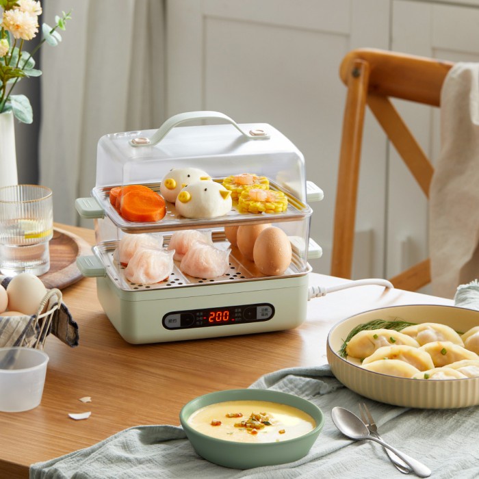 BEAR ELECTRIC STEAMER NEW