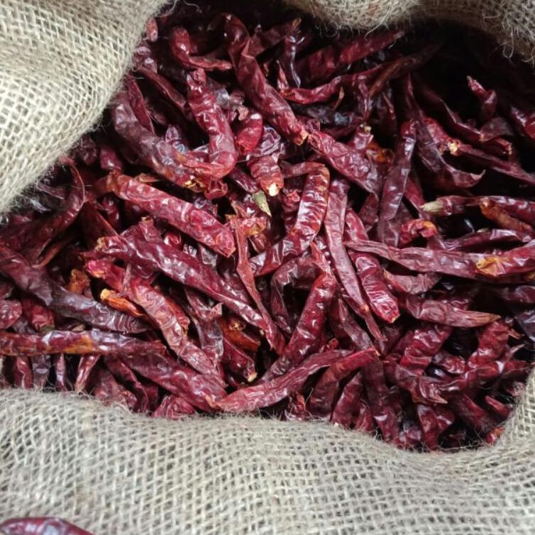 

Best Terlaris➯ C66YD Cabe merah kering rawit cabe rawit teja super pedas Cabe Teja Ori 1kg tanpa tangkai 044 Murah Banget