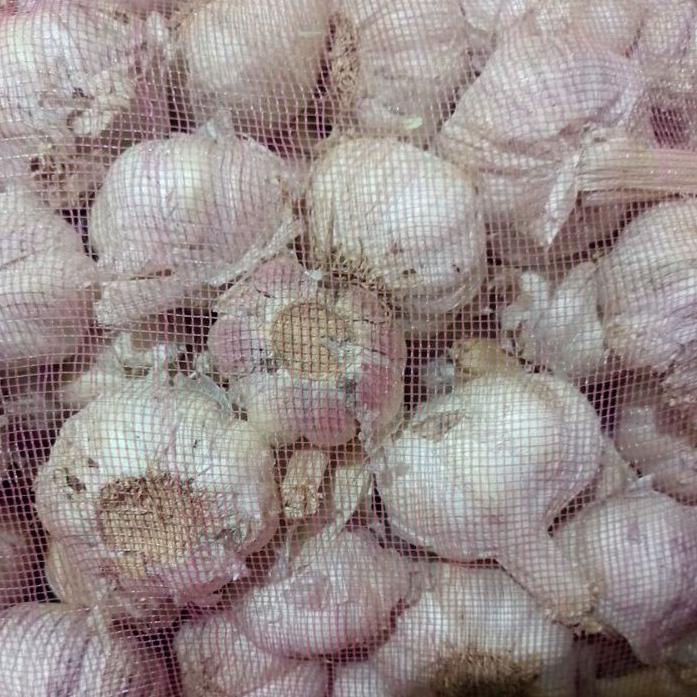 

WWA166 BAWANG PUTIH BIASA 1kg |
