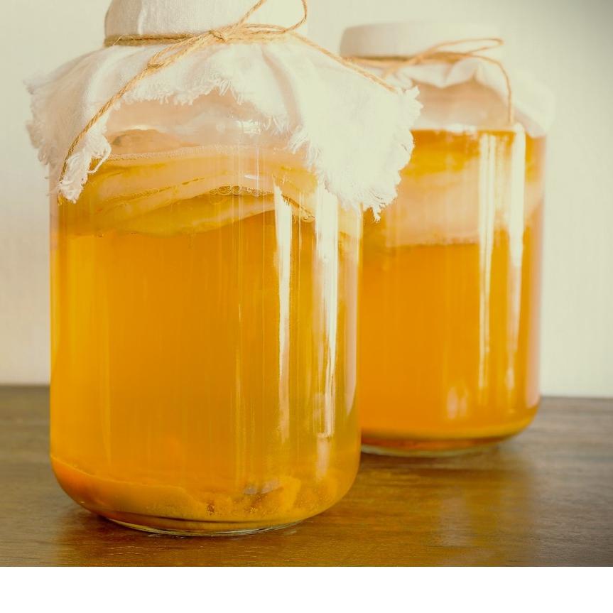 

Paling Baru Bibit Scoby Jamur Kombucha / Jamur Dipo Organik..