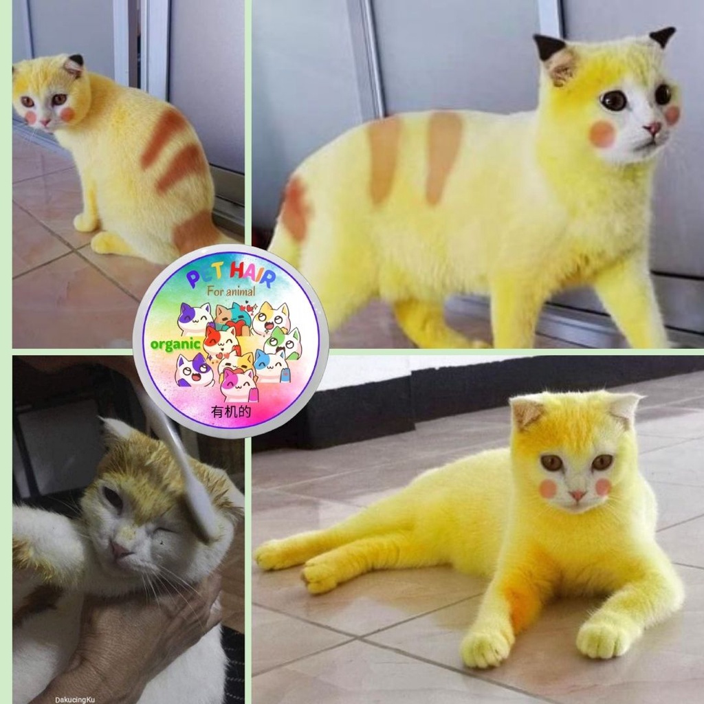 Cat Pewarna Rambut Bulu Anjing Kucing Pet Hair Coloring Pet Stain FEFARM