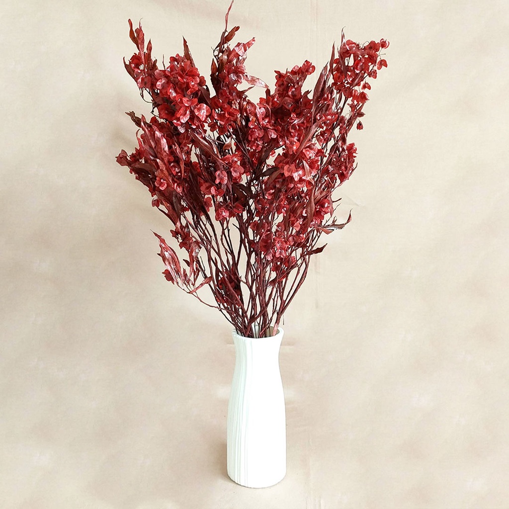 Chinese New Year Preserved Red HopBush Dodonaea  Bunga Imlek  Dekorasi  New Year 2023 Decoration Preserved Flower Bunga Kering Dried Flower Dry Flower  Tahun Baru Imlek