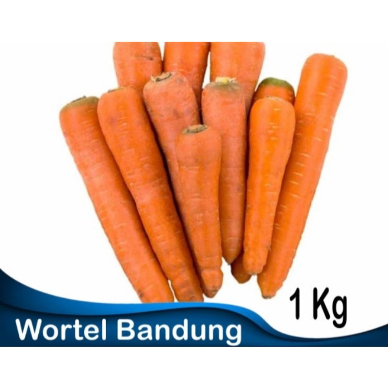 

Wortel bandung