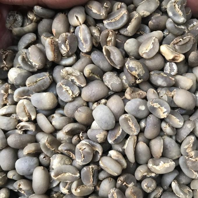 

Green Bean Gayo Arabika Wet Hulled