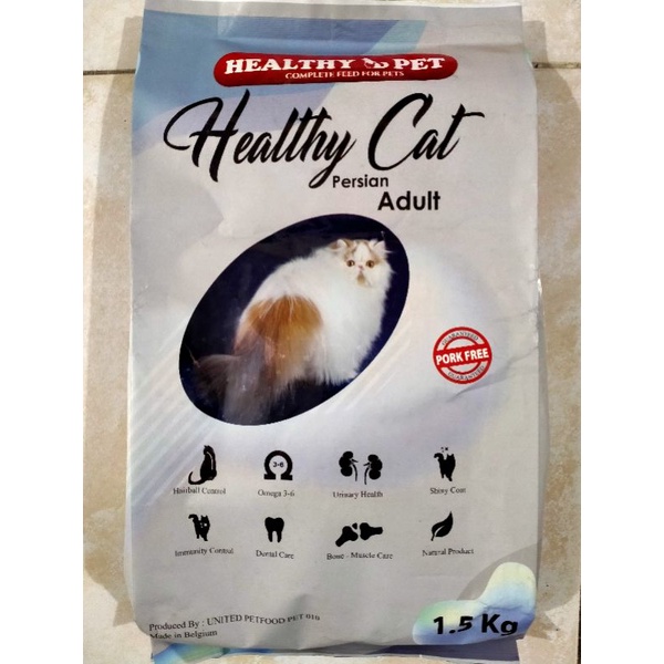 Healthy Cat persian kitten 1.5kg