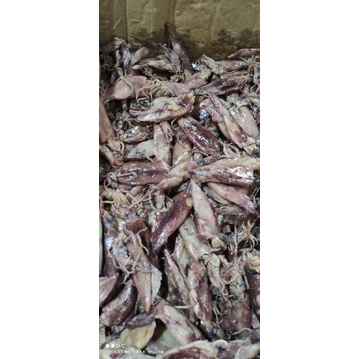 

Cumi Asin ±4cm
